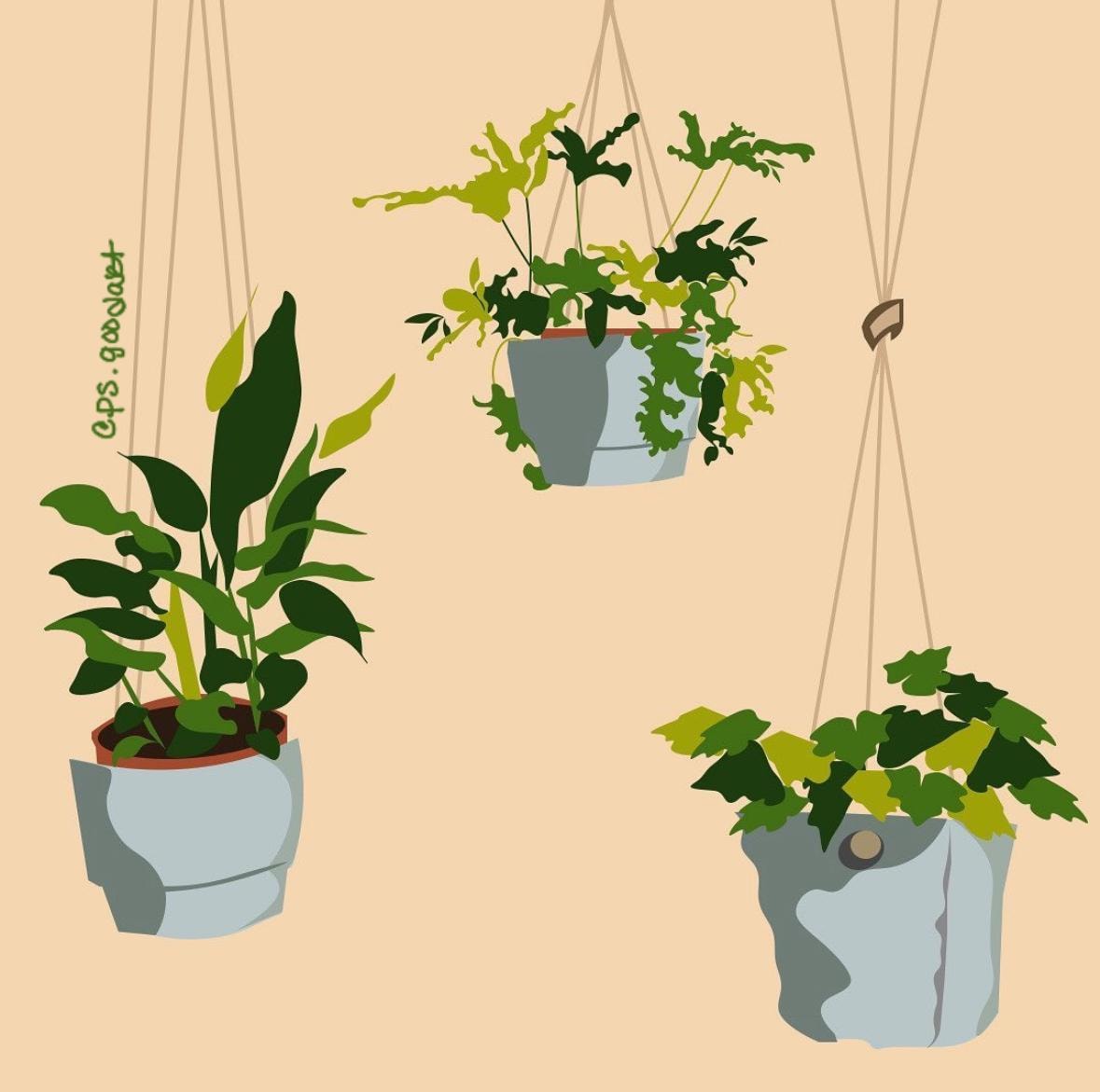 Hanging Plants Art | Junk Journaling | Deco Card